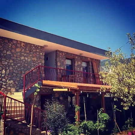 Bed and breakfast Nepenthe